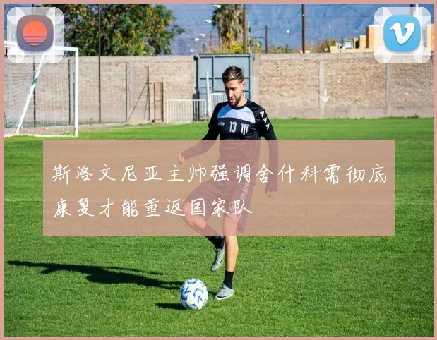 斯洛文尼亚主帅强调舍什科需彻底康复才能重返国家队